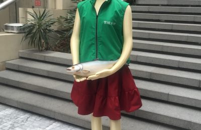 3Dモデルを用いた服の型紙作成システム