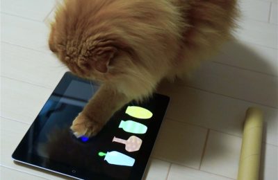 CATouch!：PC操作を用いた双方向型猫じゃらし