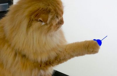 CATch!：人と猫が使えるコンピュータ