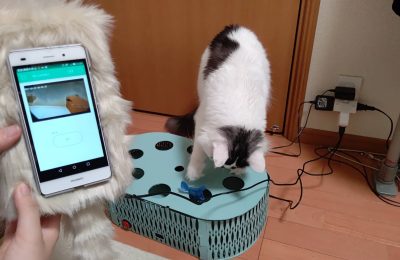 人と留守番中の猫をマッチングするシステム