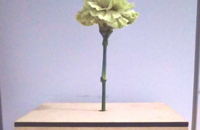 花の健康状態の変化によって環境情報を伝達する装置